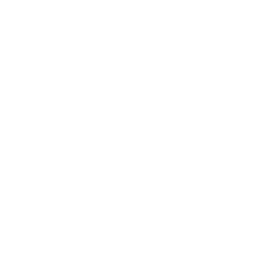 Navigate NIDES